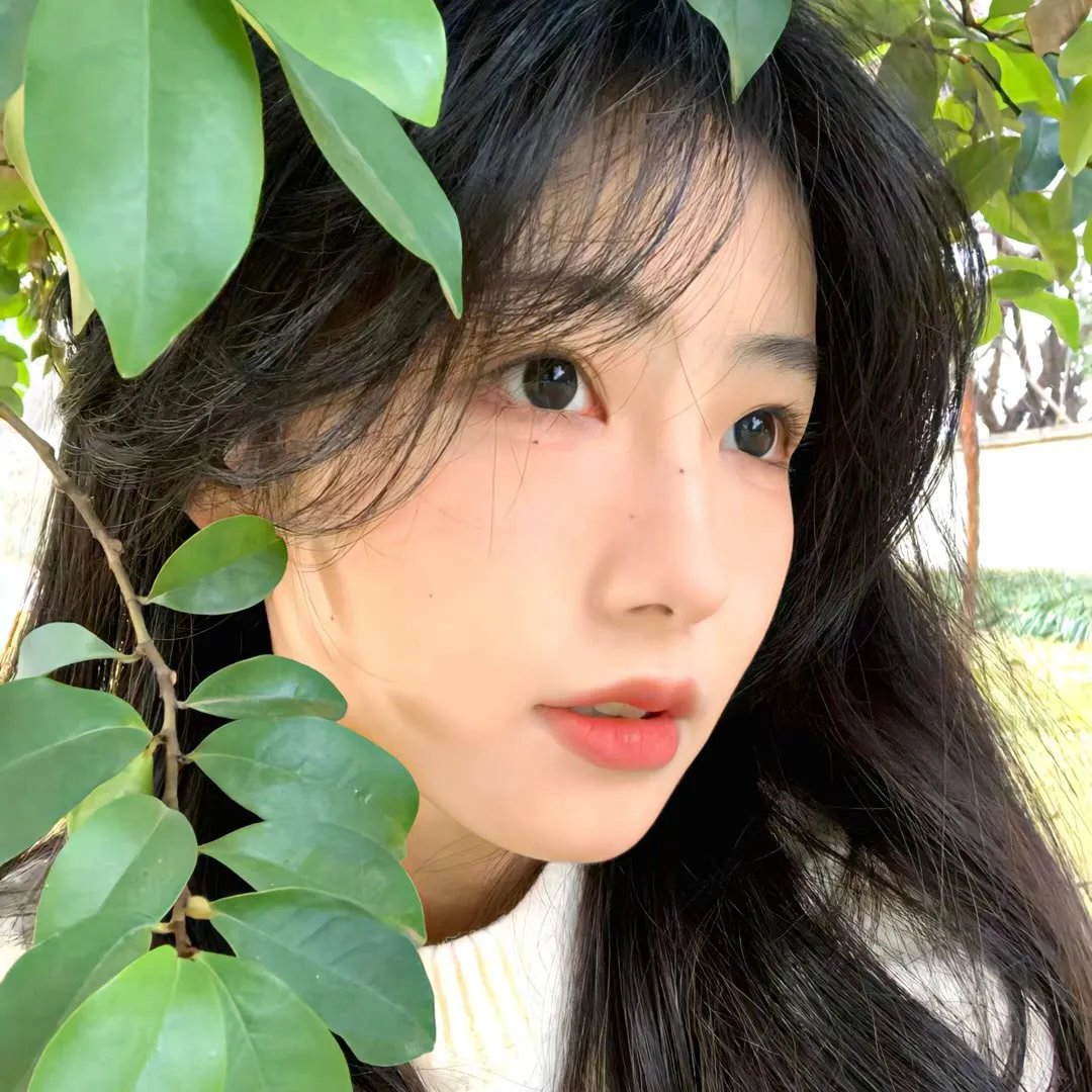 朱门情仇